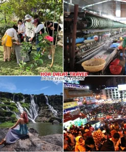 Lịch trình chiều ngày 3 tour Đà Lạt Tết Âm Lịch ghép đoàn 4 ngày 3 đêm tham quan Nông Trại Ong, Cường Hoàn Silk, Thác Pongour, tự do khám phá chợ đêm Đà Lạt