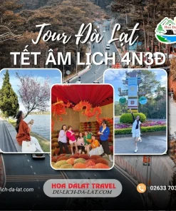 Tour Đà Lạt Tết Âm Lịch 4 ngày 3 đêm