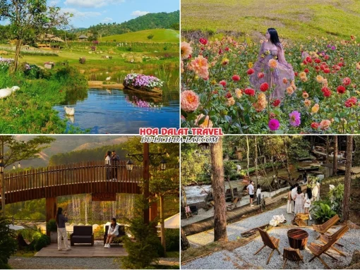 Lịch trình chiều ngày 4 tour Đà Lạt Tết Âm Lịch ghép đoàn 4 ngày 3 đêm check in The Florest, Gạch Since 1988, Vườn Địa Đàng Đà Lạt