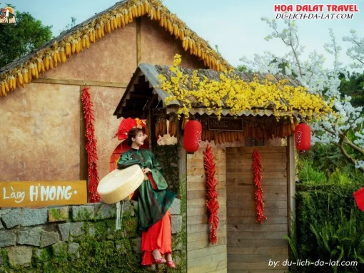 Check in Dapa Hill khi đi tour Đà Lạt Tết Dương lịch 3 ngày 2 đêm