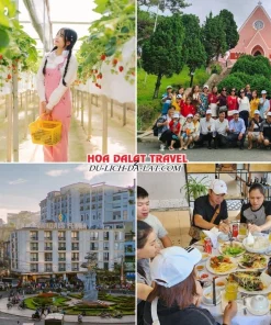 Lịch trình sáng ngày 3 tour du lịch Tết Đà Lạt 3 ngày 2 đêm trọn gói tham quan vườn dâu tây, Nhà thờ Domaine De Marie, chợ Đà Lạt, dùng bữa trưa tại nhà hàng