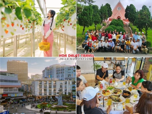 Lịch trình sáng ngày 3 tour du lịch Tết Đà Lạt 3 ngày 2 đêm trọn gói tham quan vườn dâu tây, Nhà thờ Domaine De Marie, chợ Đà Lạt, dùng bữa trưa tại nhà hàng