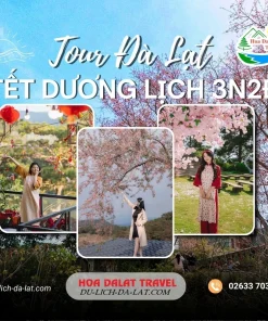 Tour Đà Lạt tết dương lịch 3 ngày 2 đêm