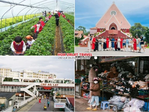 Lịch trình sáng ngày 4 tour Đà Lạt Tết Tây trọn gói 4 ngày 3 đêm tham quan Vườn dâu tây, Nhà thờ Domaine De Marie, mua sắm ở Chợ Đà Lạt