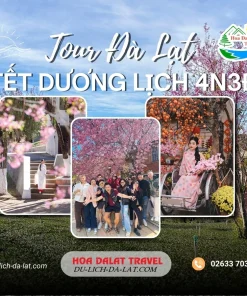 Tour Đà Lạt Tết Tây 4 ngày 3 đêm