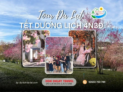 Tour Đà Lạt Tết Tây 4 ngày 3 đêm