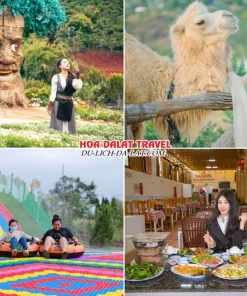 Lịch trình sáng ngày 3 tour Đà Nẵng Đà Lạt ghép đoàn 4 ngày 3 đêm tham quan GOD Valley, Mongo Land, trải nghiệm trượt phao khô tại Mongo Land, dùng bữa trưa