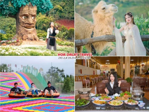 Lịch trình sáng ngày 3 tour Đà Nẵng Đà Lạt ghép đoàn 4 ngày 3 đêm tham quan GOD Valley, Mongo Land, trải nghiệm trượt phao khô tại Mongo Land, dùng bữa trưa