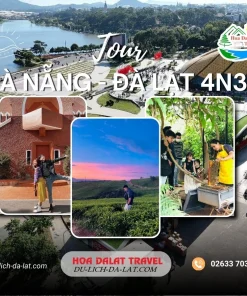 Tour Đà Nẵng Đà Lạt 4 ngày 3 đêm