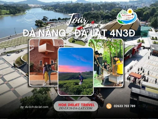 Tour Đà Nẵng Đà Lạt 4 ngày 3 đêm