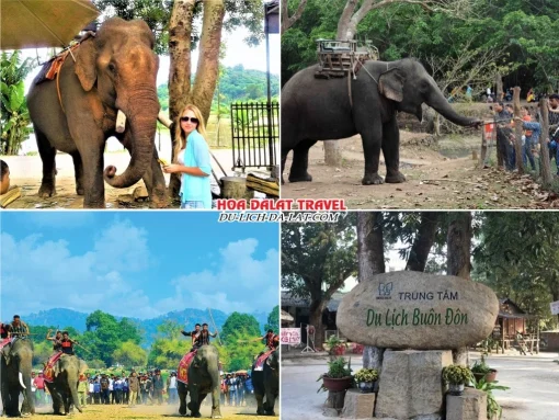 Lịch trình chiều ngày 3 tour Buôn Mê Thuột Đà Lạt ghép đoàn 4 ngày 3 đêm trung tâm du lịch Buôn Đôn