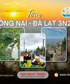 Tour Đồng Nai Đà Lạt 3 ngày 2 đêm