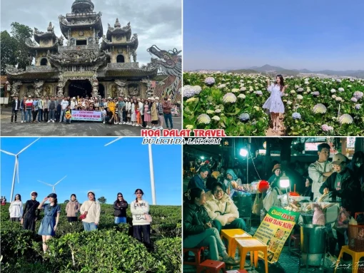 Lịch trình chiều ngày 1 tour Đồng Nai Đà Lạt trọn gói 3 ngày 2 đêm tham quan Chùa Linh Phước, Đồi hoa Cẩm Tú Cầu, Đồi chè Cầu Đất, dạo chợ đêm Đà Lạt