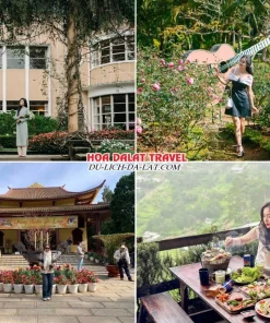 Lịch trình sáng ngày 2 tour Đồng Nai Đà Lạt ghép đoàn 3 ngày 2 đêm tham quan Dinh 3 Bảo Đại, Vườn hoa thành phố Đà Lạt, Thiền viện Trúc Lâm, dùng bữa trưa