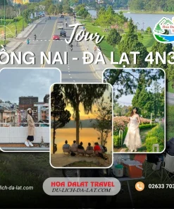 Tour Đồng Nai Đà Lạt 4 ngày 3 đêm