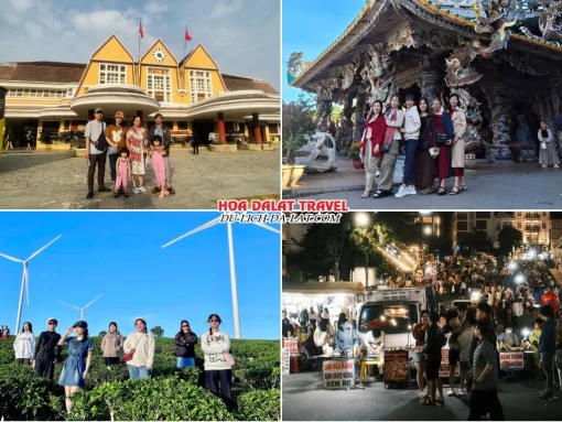 Lịch trình chiều ngày 3 tour Đồng Nai Đà Lạt trọn gói 4 ngày 3 đêm khám phá Ga Đà Lạt, Chùa Linh Phước, Đồi chè Cầu Đất, tự do khám phá Đà Lạt về đêm