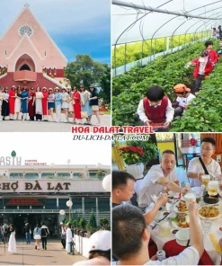 Lịch trình sáng ngày 4 tour Đồng Nai Đà Lạt trọn gói 4 ngày 3 đêm tham quan Nhà thờ Domain De Marie, Vườn dâu tây, Chợ Đà Lạt, dùng bữa trưa