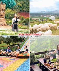 Lịch trình sáng ngày 2 tour Gia Lai Đà Lạt ghép đoàn 4 ngày 3 đêm tham quan GOD Valley Thung lũng các vị thần, Mongo Land, chơi trượt phao khô, thưởng thức bữa trưa