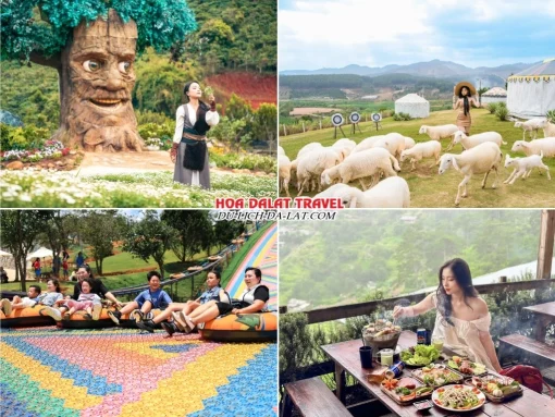 Lịch trình sáng ngày 2 tour Gia Lai Đà Lạt ghép đoàn 4 ngày 3 đêm tham quan GOD Valley Thung lũng các vị thần, Mongo Land, chơi trượt phao khô, thưởng thức bữa trưa