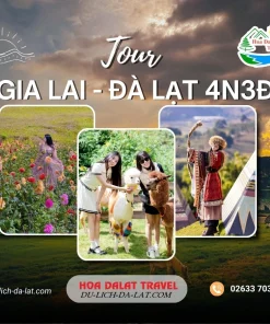 Tour Gia Lai Đà Lạt 4 ngày 3 đêm