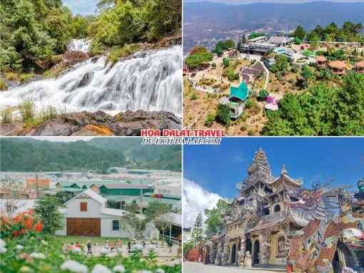 Một số điểm đến nổi bật trong tour Hà Nội đi Đà Lạt 4 ngày 3 đêm như thác Datanla, Langbiang, Puppy Farm, chùa Ve Chai Đà Lạt