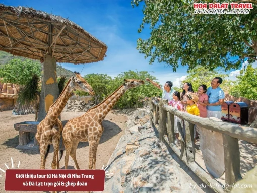 Tour du lịch Hà Nội đi Nha Trang Đà Lạt 5 ngày 4 đêm trọn gói và ghép đoàn của Du-lich-da-lat Com