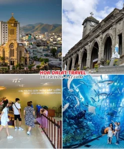 Lịch trình sáng ngày 3 tour Hà Nội Nha Trang Đà Lạt trọn gói 5 ngày 4 đêm tham quan Nhà thờ Chánh Tòa Nha Trang, Viện Hải Dương Học Nha Trang