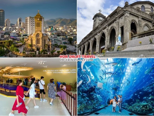 Lịch trình sáng ngày 3 tour Hà Nội Nha Trang Đà Lạt trọn gói 5 ngày 4 đêm tham quan Nhà thờ Chánh Tòa Nha Trang, Viện Hải Dương Học Nha Trang