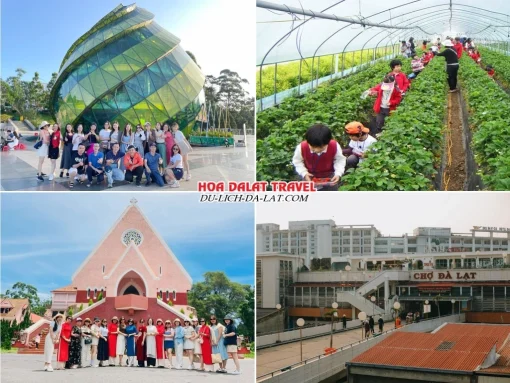 Lịch trình sáng ngày 4 tour Hà Tĩnh Đà Lạt trọn gói 4 ngày 3 đêm ghé thăm Quảng trường Lâm Viên, vườn dâu tây, Nhà thờ Domaine De Marie, dạo chợ Đà Lạt