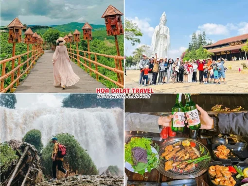 Lịch trình sáng ngày 3 tour Hà Tĩnh Đà Lạt ghép đoàn 4 ngày 3 đêm khám phá Mê Linh Garden Coffee, tham quan Chùa Linh Ẩn, Thác Voi, dùng bữa trưa