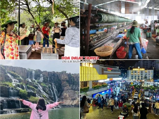 Lịch trình chiều ngày 3 tour Hà Tĩnh Đà Lạt ghép đoàn 4 ngày 3 đêm tham quan nông trại nuôi ong, Cường Hoàn Silk, thác Pongour, tự do khám phá thành phố Đà Lạt về đêm