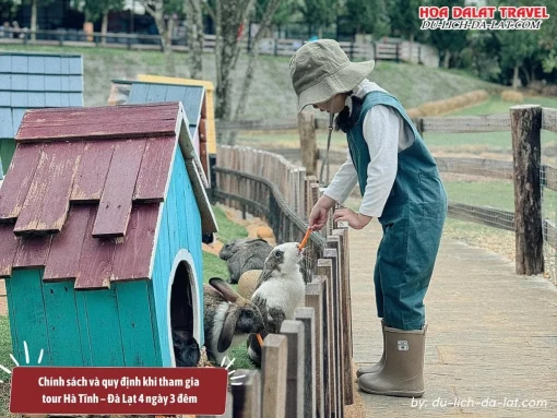 Chính sách và quy định khi tham gia tour Đà Lạt 4 ngày 3 đêm đi từ Hà Tĩnh