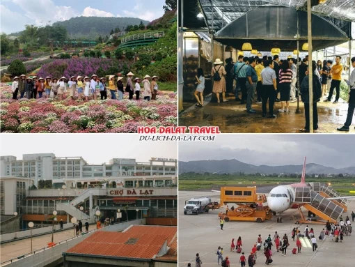 Lịch trình ngày 4 tour Hải Phòng Đà Lạt trọn gói 4 ngày 3 đêm Check in nông trại cún Puppy Farm, Làng Nấm, chợ Đà Lạt và ra sân bay Liên Khương