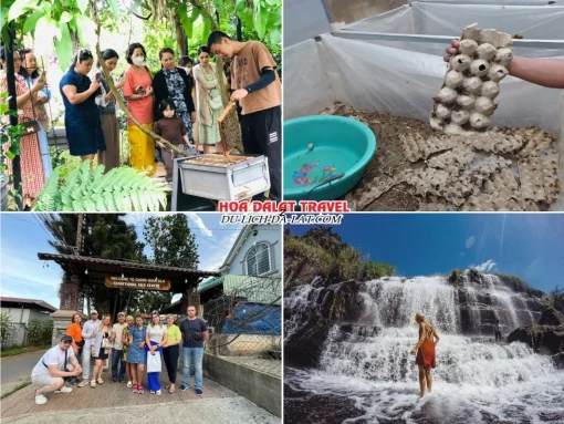 Lịch trình chiều ngày 2 tour Huế đi Đà Lạt 3 ngày 2 đêm ghép đoàn khám phá nông trại nuôi ong, trang trại nuôi dế, Cường Hoàn Silk, thác Pongour