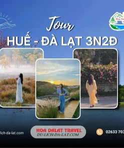 Tour Huế Đà Lạt 3 ngày 2 đêm