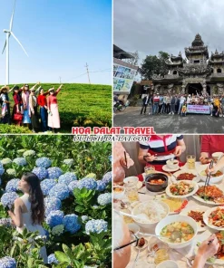 Lịch trình sáng ngày 3 tour Huế Đà Lạt trọn gói 4 ngày 3 đêm tham quan Đồi chè Cầu Đất, Chùa Linh Phước, Vườn Hoa Cẩm Tú Cầu, thưởng thức bữa trưa