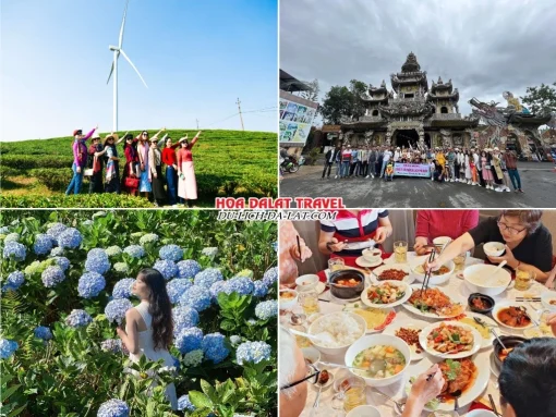 Lịch trình sáng ngày 3 tour Huế Đà Lạt trọn gói 4 ngày 3 đêm tham quan Đồi chè Cầu Đất, Chùa Linh Phước, Vườn Hoa Cẩm Tú Cầu, thưởng thức bữa trưa