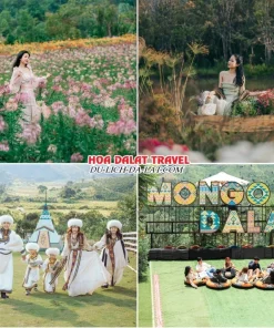 Lịch trình sáng ngày 2 tour Nha Trang Đà Lạt ghép đoàn 5 ngày 4 đêm tham quan The Florest – Hoa Trong Rừng, Mongo Land, trượt phao khô