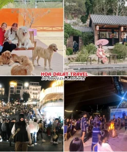 Lịch trình chiều, tối ngày 2 tour Nha Trang Đà Lạt ghép đoàn 5 ngày 4 đêm tham quan Nông trại cún Puppy Farm, Hoàng Long Ohayo, Dạo quanh chợ đêm Đà Lạt hoặc Tham gia chương trình giao lưu văn hóa Cồng Chiêng Tây Nguyên