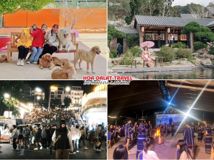 Lịch trình chiều, tối ngày 2 tour Nha Trang Đà Lạt ghép đoàn 5 ngày 4 đêm tham quan Nông trại cún Puppy Farm, Hoàng Long Ohayo, Dạo quanh chợ đêm Đà Lạt hoặc Tham gia chương trình giao lưu văn hóa Cồng Chiêng Tây Nguyên