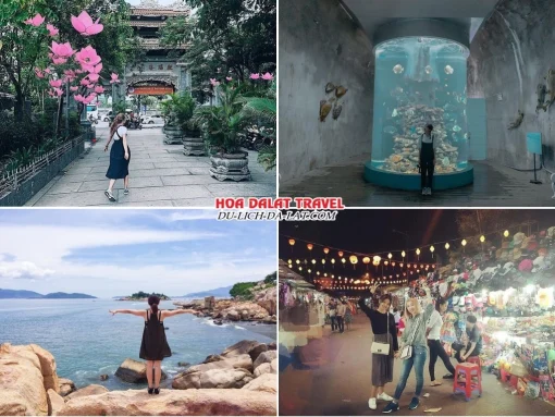 Lịch trình chiều ngày 3 tour Nha Trang Đà Lạt ghép đoàn 5 ngày 4 đêm tham quan Viện Hải Dương Học Nha Trang, Hòn Chồng Nha Trang