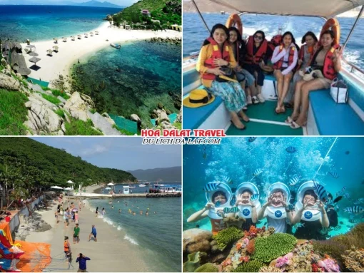 Lịch trình sáng ngày 4 tour Nha Trang Đà Lạt trọn gói 5 ngày 4 đêm tham quan vịnh Nha Trang, Tham quan Bãi Tranh, Lặn biển ngắm san hô