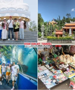 Lịch trình sáng ngày 5 tour Nha Trang Đà Lạt trọn gói 5 ngày 4 đêm tham quan Chùa Long Sơn, Viện Hải Dương Học, Chợ Nha Trang