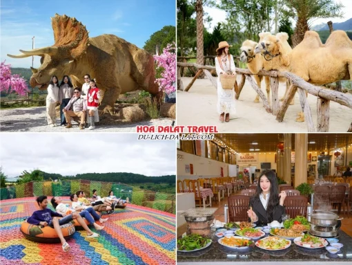 Lịch trình sáng ngày 3 tour Phú Yên Đà Lạt ghép đoàn 4 ngày 3 đêm tham quan GOD Valley, Mongo Land, chơi trượt phao khô, dùng bữa trưa