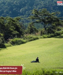 Chính sách và quy định khi tham gia tour du lịch Phú Yên Đà Lạt 4 ngày 3 đêm