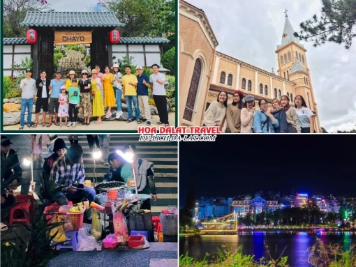 Lịch trình chiều tối ngày 2 tour Quảng Bình Đà Lạt trọn gói 4 ngày 3 đêm tham quan Hoàng Long Ohayo, Nhà thờ Con Gà, khám phá Đà Lạt về đêm