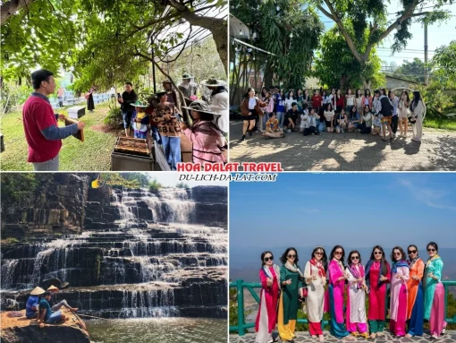 Lịch trình chiều ngày 3 tour Quảng Bình Đà Lạt trọn gói 4 ngày 3 đêm tham quan nông trại nuôi ong, Cường Hoàn Silk, Thác Pongour, Khu du lịch LangBiang