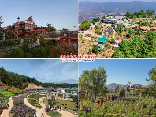 Những trải nghiệm đặc biệt trong tour Quảng Bình Đà Lạt 4 ngày 3 đêm ở Dalat View, Langbiang, God Valley, Mê Linh coffee garden