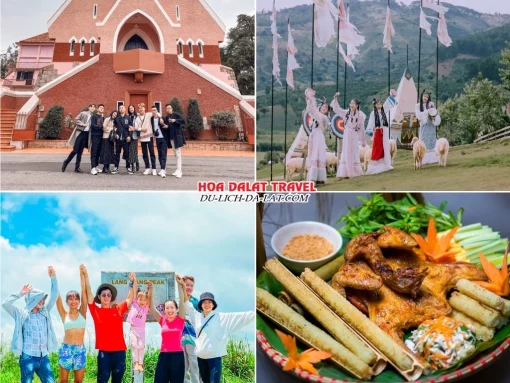 Lịch trình chiều ngày 2 tour Quảng Nam Đà Lạt trọn gói 4 ngày 3 đêm tham quan Mongo Land Đà Lạt, Nhà thờ Domaine De Marie, Khu du lịch Langbiang, dùng bữa tối tại nhà hàng gần khu vực Langbiang