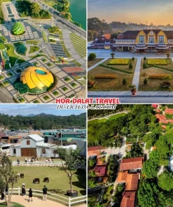 Các điểm đến nổi bật trong tour Quảng Nam đi Đà Lạt 4 ngày 3 đêm như Quảng Trường Lâm Viên, Nhà Ga Đà Lạt, Puppy Farm. Thiền Viện Trúc Lâm